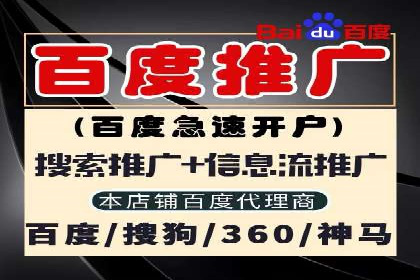 电商SEM推广案例解析